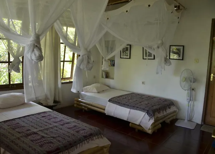 Bali Sandat 4* Tejakula